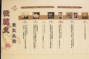 歴史好きのナビは蘭の歴史年表があるのを発見しましたよ。台湾の蘭は日本統治時代にすでに植物としての研究がなされていたようです