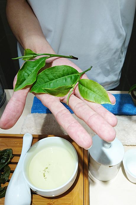 摘みたての茶葉を見せていただきました。茶葉が黄緑色であることは健康に育った証拠なんだとか。台北で生のお茶に触れられてナビは感動☆