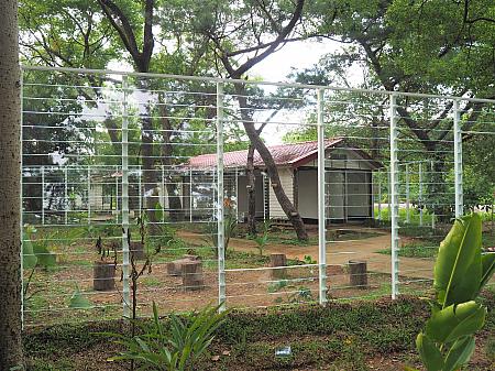 自然の光とガラスの反射を使った「許多庭」という作品