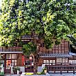 日本時代に「柳下食堂」だった場所をリノベし「十八卯茶屋」として現在は茶芸も楽しめるお店になっています。実はこの日、ナビ友の柳下昌子さんが台南に来てくださったのです！柳下昌子さんは創業者の柳下勘蔵さんから数えて 「柳下食堂」 の四代目。　 