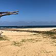 藍湾海浜休憩園区という有料の海浜公園になっています。この日は良く晴れていましたが、もうオフシーズンということで人はまばら。