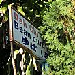 台東県池上の住宅街に突如表れる「ゆば(湯葉)」と書かれた看板。