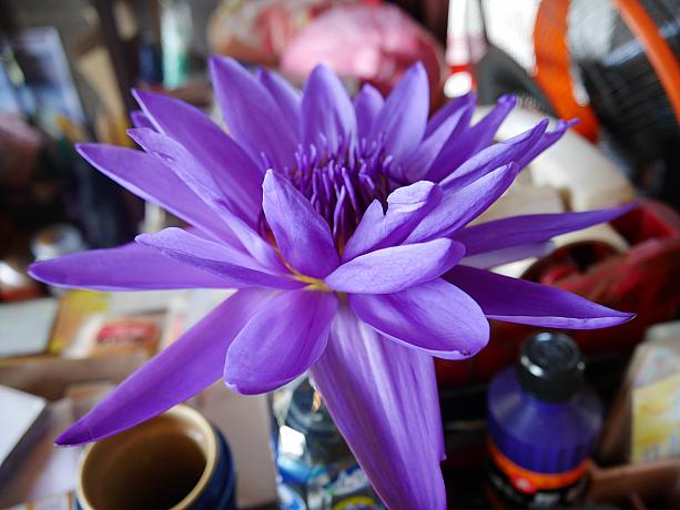 事務机に置かれていた紫のお花が美しすぎてパチリ