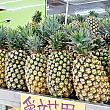 台湾からパイナップルを日本に持ち帰る場合の手続きについて 植物検疫 検査証明書 パイナップル 台湾桃園国際空港 台北松山空港高雄小港空港