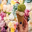 「新馬辣PLUS+」はハーゲンダッツとMovenpickのアイスクリームがあわせて32種類！しかも「PLUS+峨嵋店」では他店ではまだお披露目されていない味がひと足先に体験できます！！