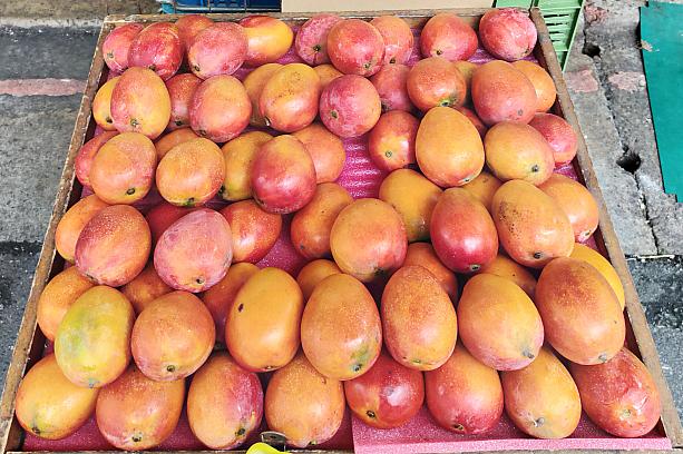 今年の夏は海外からのツーリストが台湾へ来られないので、皆様にかわり、台湾の経済を回すべく、ナビはフルーツを盛り盛り食べようと思います！