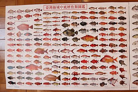 壁に貼られた台湾の魚リスト。今日はどれが食べられるかな？