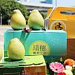 今年の中秋節は10月1日。この日に食べるは月餅だけではありません。台湾では台南の麻豆が産地として有名の果物「文旦柚」もよく食べます。子供たちは皮を帽子のように被って遊んだりして楽しみますよ