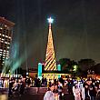 新北歡樂耶誕城の会場にある一番大きなクリスマスツリー！これもプロジェクションマッピングと連動して光ります！