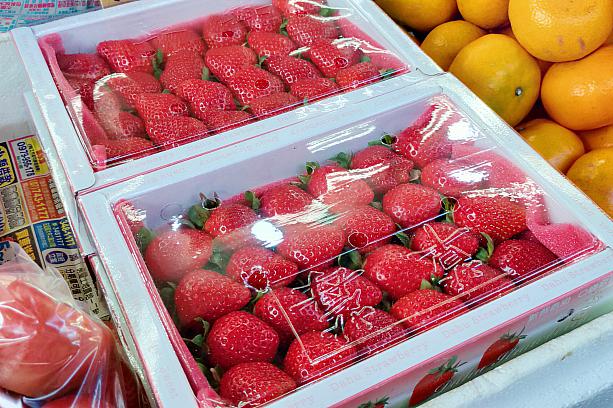 春節が近づくと食べられる「草莓(イチゴ)」！日本産もおいしいけれど、台湾産だって負けませんよ～♪