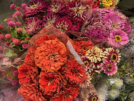 いつもは生花を買いに行くナビ。今回はナビ友もお供してくれたので、違う目線で花市場を見ることができました