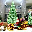 台湾全土で最も規模が大きいクリスマスイベントといえば「新北歡樂耶誕城(新北市クリスマスランド)」！毎年、テーマを変えてたくさんの人々を楽しませてくれています。今年は「LEGO」とコラボしています！