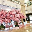 台北101内でお花見を楽しんでます～という感じのフォトスポットが出現！