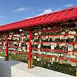 【台湾の中にある日本】台湾廟と日本の神社が併存する「鹿野神社」は台東・鹿野地区の人気撮影スポットになっています♡ 台東 鹿野神社 人気インスタスポット 日本人移民村 鹿野地区 台東旅行 台湾旅行 撮影スポット偽出國