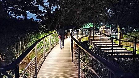 今回、ポケモンGOの会場として選ばれた大安森林公園は、普段から市民の憩いの場として、平日の夜でも大賑わい！