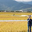 【台湾秋の風物詩】地震にも負けず「2022池上池上秋收稻穗藝術節」開催！ 池上秋收稻穗藝術節 池上秋收 秋收 Matzka 周蕙 周華健 エミール・チョウ ワーキン・チョウ 台湾音楽 台湾旅行 台東旅行池上