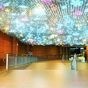 「雪寶光廊」ライトアップ時間：17:30～24:00 in板橋車站B1連通道の天井