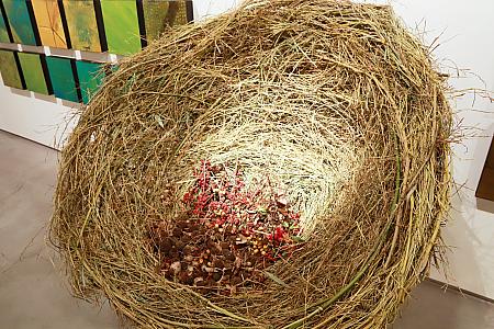 鳥の巣は子供たちが竹を狩り、その枝で編んだものなんだとか。