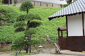 さらに坂を上って行くと、和平公園が。園内には、日本から移築した「一滴水紀念館」があります。元々は福井県にあったこの古民家、なんと、作家・水上勉氏の生家だとか。緑の中に佇む日本家屋は無料で見学OKです。