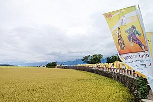 【台湾イベント】「池上秋收稻穗藝術節」は15周年！池上だけでしか見られない特別バージョンの『天光・霞』は感動もの！ 池上秋收稻穗藝術節 池上秋收 池上秋收稲穂アートフェスティバル 雲門舞集 雲門 クラウド・ゲート クラウドゲート コンテンポラリダンス 天光・霞 天光霞 台東旅行 台湾旅行風物詩