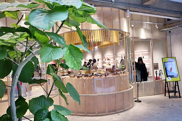 新竹エリアでこれまでもカフェや書店、ホステル……など、新旧を融合させたリノベプレイスを展開してきた「或者」が手掛ける最新スポットがココなんです。