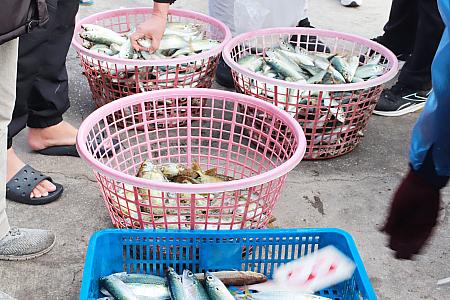通常の魚市と異なるのは一般客も購入できる点。まずは一般のお客さんが欲しいだけ袋に詰めていきます。購入は普通の伝統市場と同じく重さで価格が決まります。小売り扱いなのでセリより高値。
