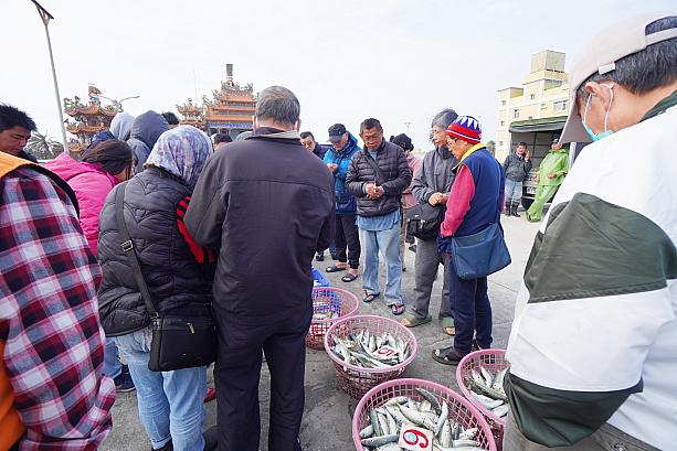 船から水揚げされたばかりの魚がカゴいっぱいに並べられると、わらわらと人が集まってきます。魚市場の建物があるわけでもなく、港の路上が市場へと早変わり。