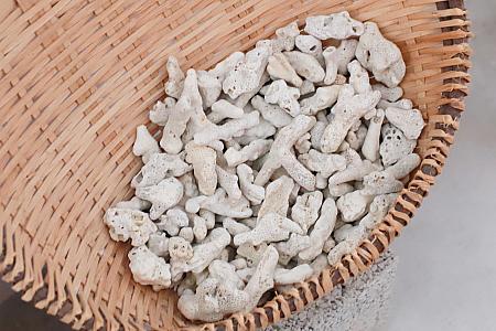 サンゴや貝を原料とする石灰作りは、かつて澎湖の主要産業の1つでした。澎湖の石灰は白くて質感がよいと評判だったと言います。また石灰モルタルはコンクリートが普及する以前、建材の接着材として広く使われていたそうです。