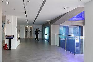 2階入口へ進むと、海科館が主催する海底写真コンテストの展示スペースがあります。2015年から続くコンテストの作品を通じて、近郊海底の様子を知ることができます