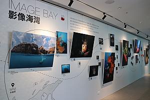 2階入口へ進むと、海科館が主催する海底写真コンテストの展示スペースがあります。2015年から続くコンテストの作品を通じて、近郊海底の様子を知ることができます