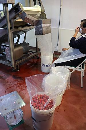 キレイに洗浄されたいちごを遠心分離機にかけ、水分を飛ばしたのち、ドイツから取り寄せた酒樽の中で、低温で発酵！