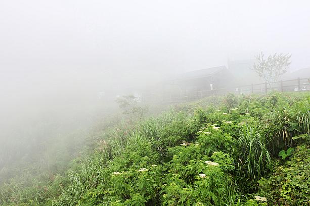 登山道口から景観台まではおよそ40分ほどの行程。きっと大丈夫、たぶん大丈夫、恐らく大、丈、……無理かも！ヘタレなナビ一行は早々に入口へ引き返すことに。えへへ。