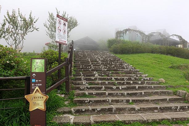 なので、阿里山は広大な地域。見どころがいっぱいあります。本日はその1つ「二延平歩道」へ行ってきました！