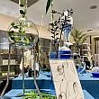 【台湾土産】台湾で最も美しいと名高い台中の「分子藥局Molecure Pharmacy」が台北にオープン！ 分子藥局 薬局 ファーマシー 分子藥局NORTHHUB NUORI プレバイオティクス 機能性医学 CSD中衛台湾土産