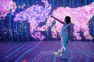 もしかしたら……子供以上に大人が楽しんじゃうかも！<br>©teamLab