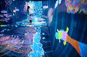 アート毎にテーマと遊び方が異なります！<br>©teamLab