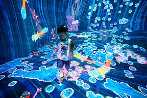 アート毎にテーマと遊び方が異なります！<br>©teamLab