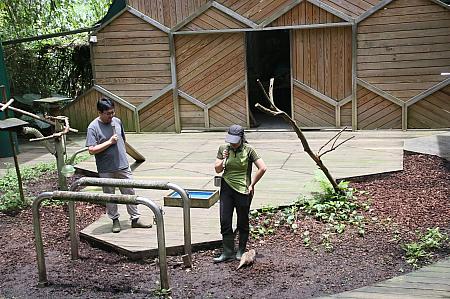 ここでは、飼育員さん同伴で、鷹の餌付けやステージ周辺をあちこち駆け回るミーアキャットを見ることができます。ミーアキャットのかわいさに思わズキュン！