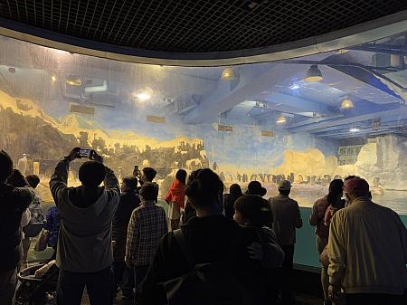 海の生物と触れ合おう(画像：Taiwan PASS)