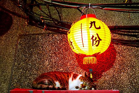 九份はやっぱり夜を狙う？