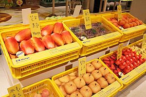 国立台湾博物館・南門園区