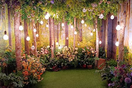 101階の「秘境花園觀景台(世界で最も高い所にある秘密のガーデン)」からゆっくり台北の街並みを一望するのも◎