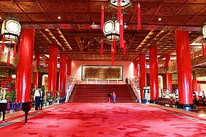 龍が何匹いるかわからないほどいっぱい！
