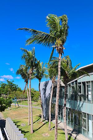 【台湾旅行記】花蓮地震の影響を受けて旅行者が激減中の台東で復興応援旅♪