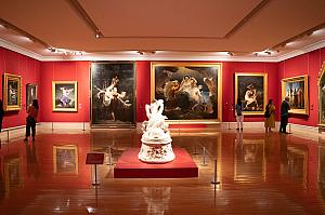 部屋ごとにテーマが異なる展示