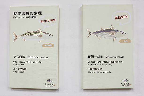港町・成功らしいお土産を探しているなら、ぜひ立ち寄ってみてくださいね。
