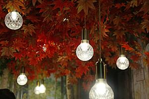 【台北観光】台北101展望台の展示がクリスマスバージョンにリニューアル！テーマは「高山クリスマスタウン」で撮影スポットがいっぱい！ 台北101 展望台 信義区 台北101ショッピングモール クリスマス ツリー紅葉