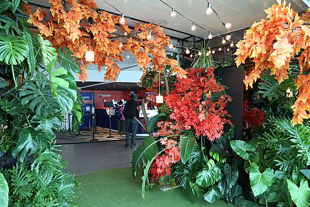こちらは紅葉たっぷりのエリア。真っ赤な紅葉とトロピカルな植物が共存しているのが台湾らしい！