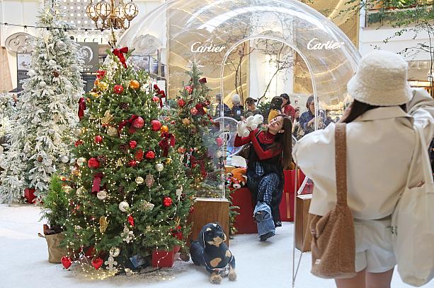 外国のクリスマスタウンみたいで、みなさん写真撮影に夢中です。こちらも、展望台も絵になる～！思い出をいっぱい残しましょう！