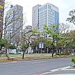 【台北新スポット】巨大LEDスクリーン「Taipei Lumitree(敦南之森)」は台北のオアシス♡ 敦南之森 TaipeiLumitree 台北のオアシス 台北新スポット LEDスクリーン 無料スポット 信義安和クリスマス